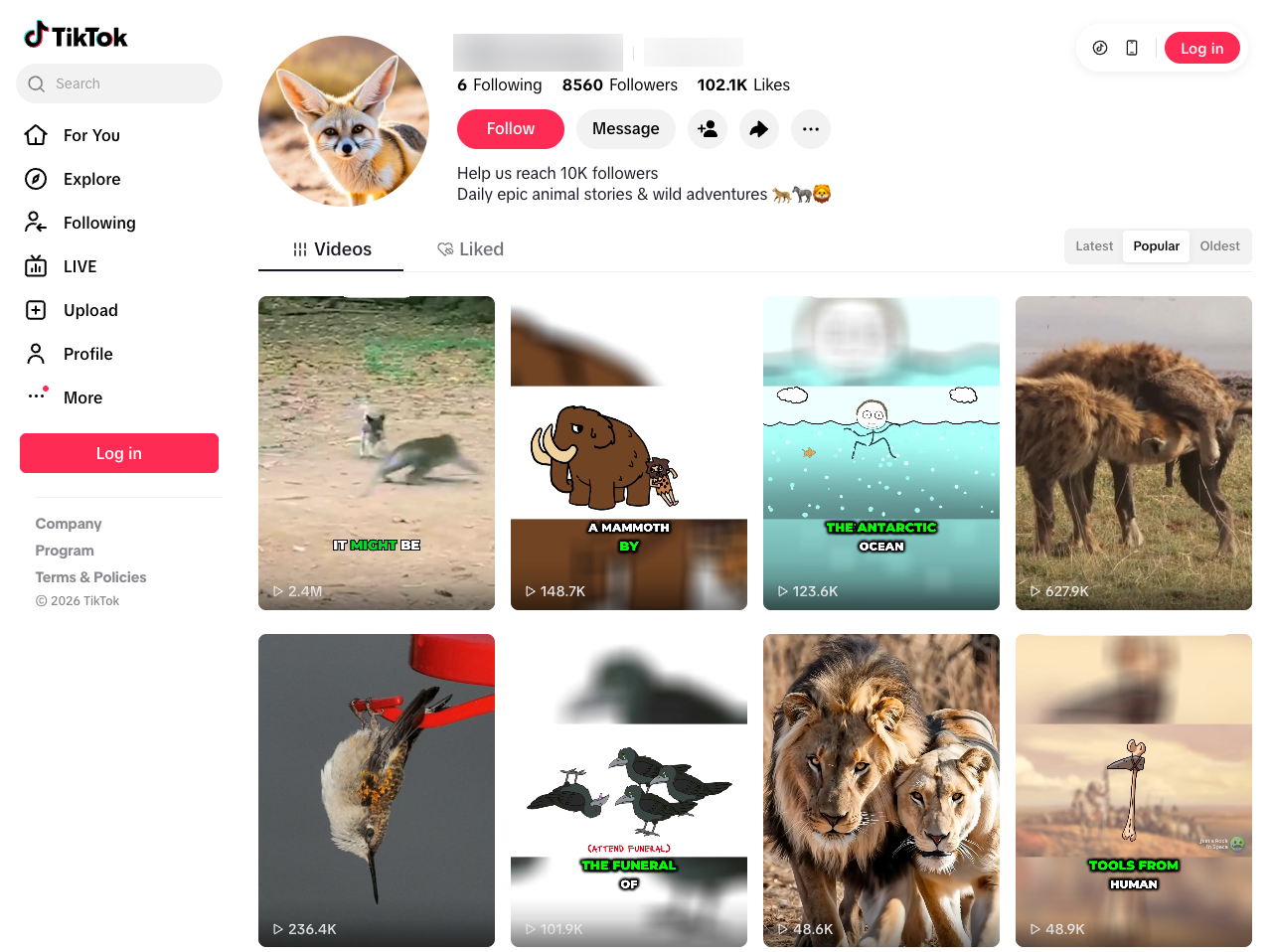 @wildlifebytes