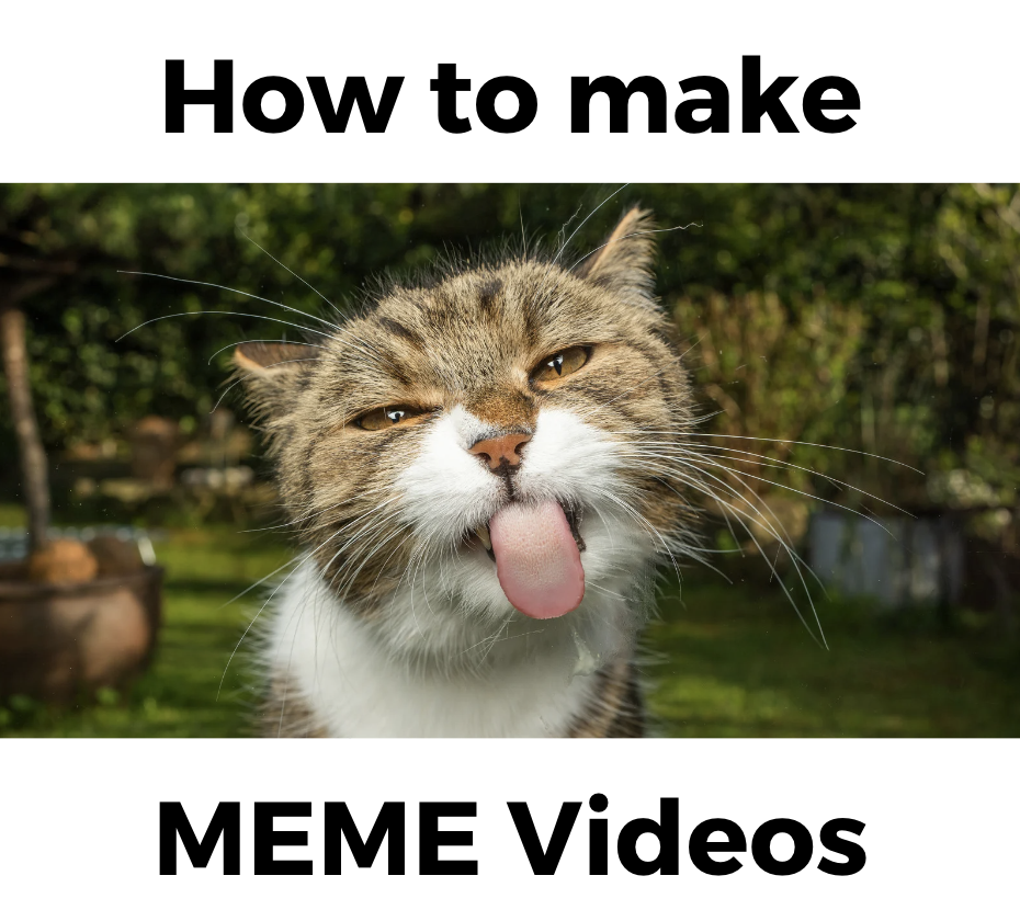 Free Meme Video Maker Tutorial