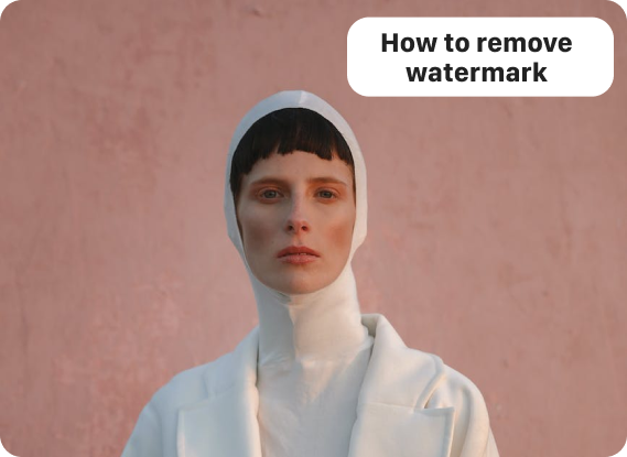 Remove Watermark from Video Tutorial Step 3